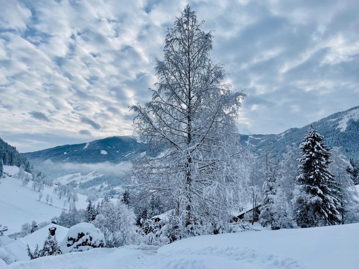 Alpenliebe Appartement Bad Kleinkirchheim Buitenkant foto